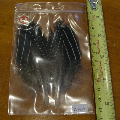 画像3: Vulturine Gallena Wing Covers Lサイズ  