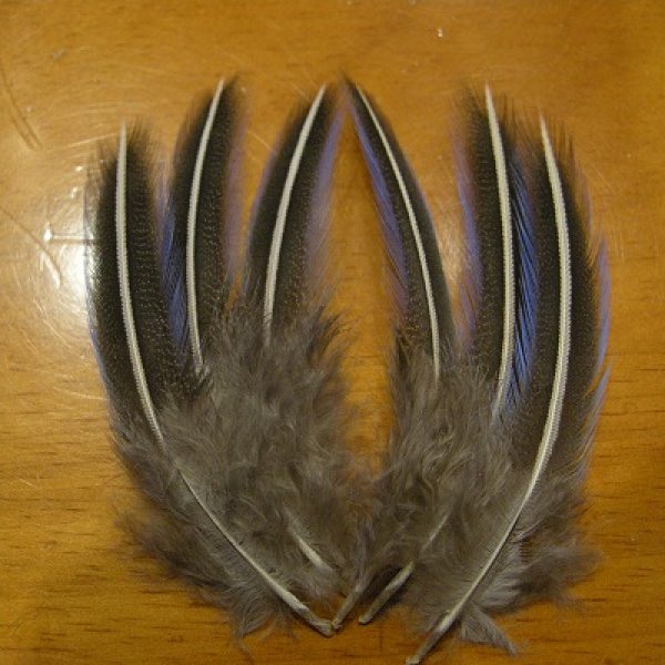 画像1: Vulturine Gallena Blue Elver Hackles Mサイズ   (1)