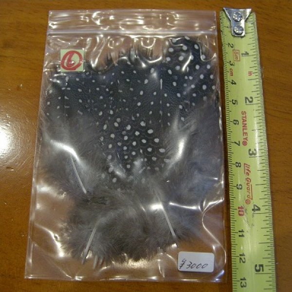 画像7: Vulturine Gallena Mantle Feathers (7)