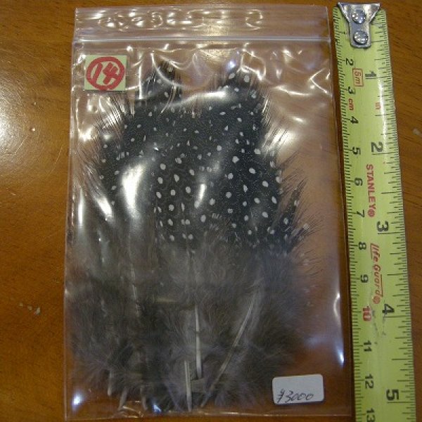 画像15: Vulturine Gallena Mantle Feathers (15)