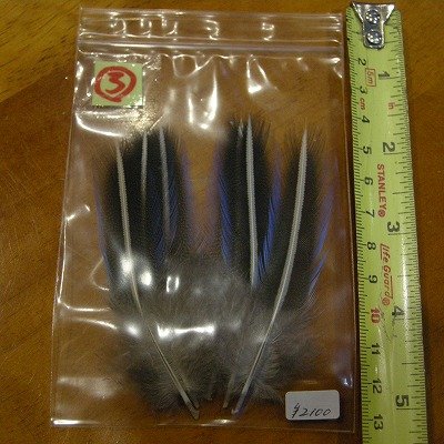 画像1: Vulturine Gallena Blue Elver Hackles Mサイズ  