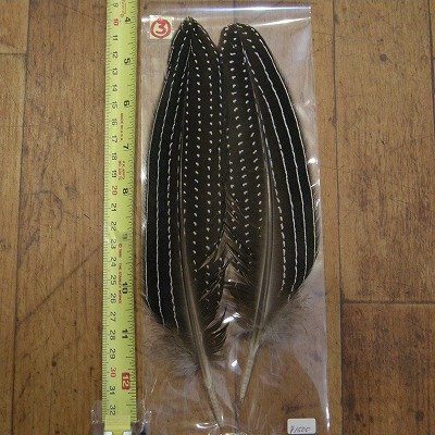 画像1: Vulturine Gallena Wing Quills 