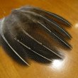 画像2: Vulturine Gallena Speckled Elver Hackles (2)