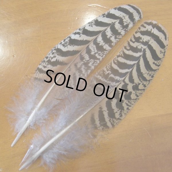 画像1: ピーコッククイルMINI MLサイズ   (1)