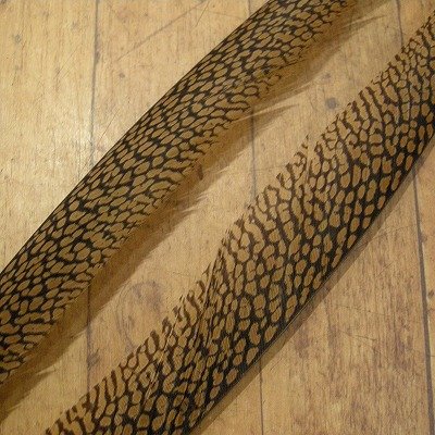 画像2: Golden Pheasant Tail 1ペア AA1