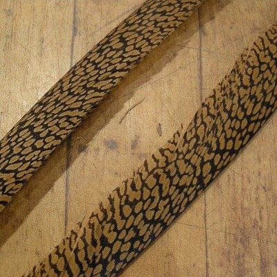 画像1: Golden Pheasant Tail 1ペア A3