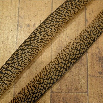 画像2: Golden Pheasant Tail 1ペア AAA1