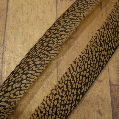 画像2: Golden Pheasant Tail 1ペア  A1