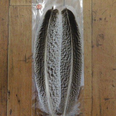 画像2: 【CANAL】 TURKEY QUILL Grey Speckled SA