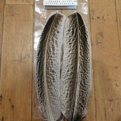 画像1: 【CANAL】 TURKEY QUILL Silver Speckled SA  