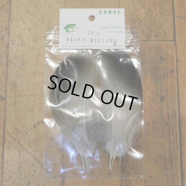 画像1: 【CANAL】 Brown Mallard  Lサイズ (1)