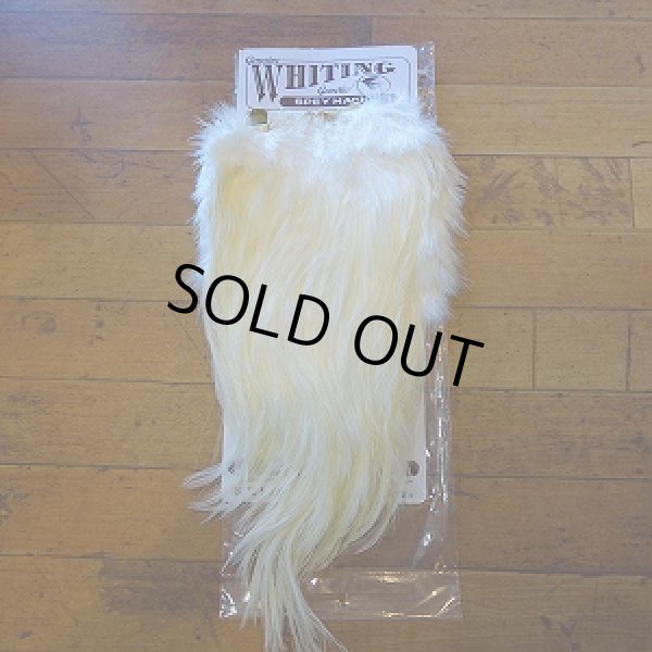 画像4: 【WHITING】 Spey Hackle Saddle SILVER GRADE (4)