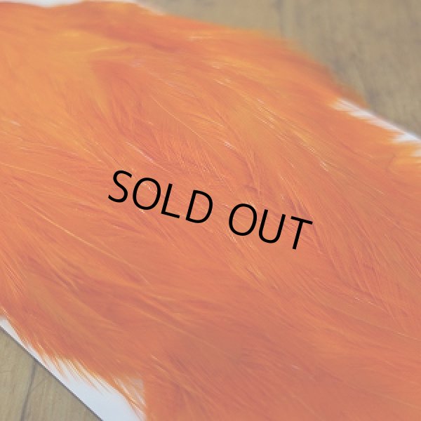 画像4: 【SWEETFISH】 Chinese Cock Hackle (4)