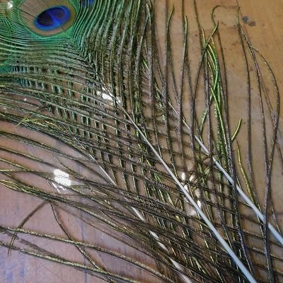 画像2: 【CANAL】 Green Peafowl Eye Lサイズ  