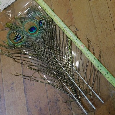 画像3: 【CANAL】 Green Peafowl Eye Lサイズ  