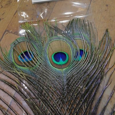 画像1: 【CANAL】 Green Peafowl Eye Lサイズ  