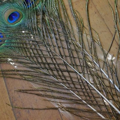 画像2: 【CANAL】 Green Peafowl Eye Mサイズ  