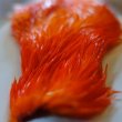 画像3: 【SWEETFISH】 Chinese Cock Hackle (3)