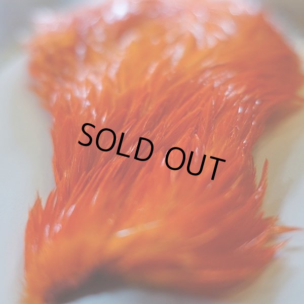 画像3: 【SWEETFISH】 Chinese Cock Hackle (3)