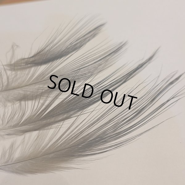 画像3: 【ANGLE】 HERON BACK FEATHER (3)