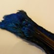 画像3: 【CANAL】 Peacock Head (3)