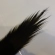 画像2: 【CANAL】 Black Heron half cut (2)