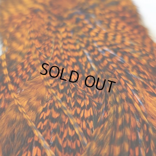 画像6: 【KEOUGH】 ダイド グリズリー コックサドル #2 (2) (6)