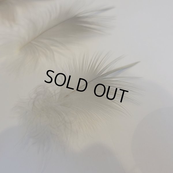 画像2: 【CANAL】 Grey Heron S SIZE (2)