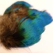 画像2: 【CANAL】 Peacock green neck (2)