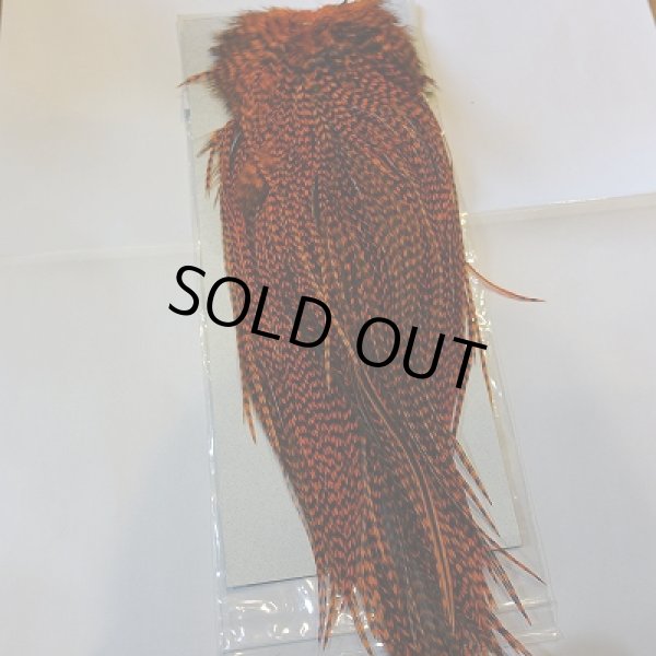 画像4: 【KEOUGH】 ダイド グリズリー コックサドル #2 (2) (4)