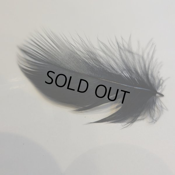 画像2: 【CANAL】 Grey heron Dyed Black XS (2)