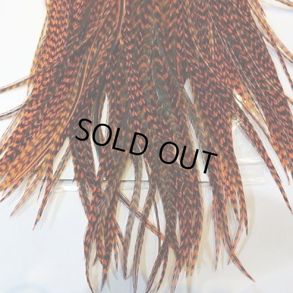 画像5: 【KEOUGH】 ダイド グリズリー コックサドル #2 (2) (5)