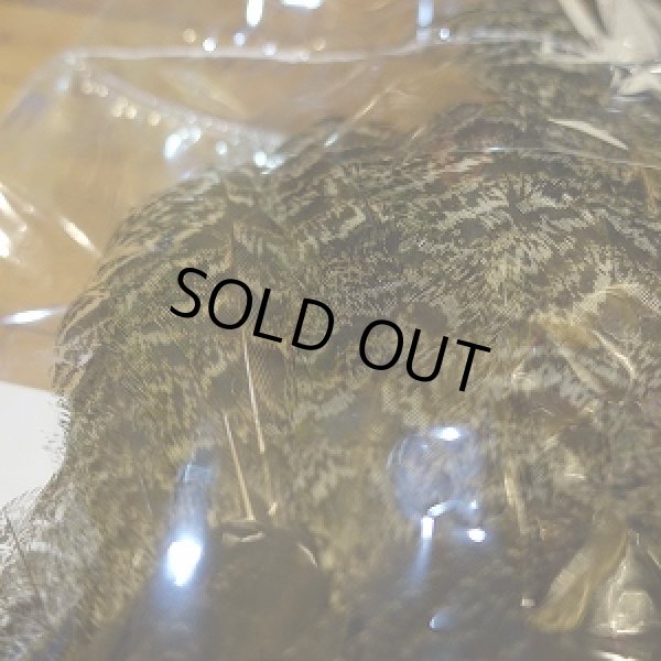 画像4: 【CANAL】 PEAHEN コンプリート  (4)