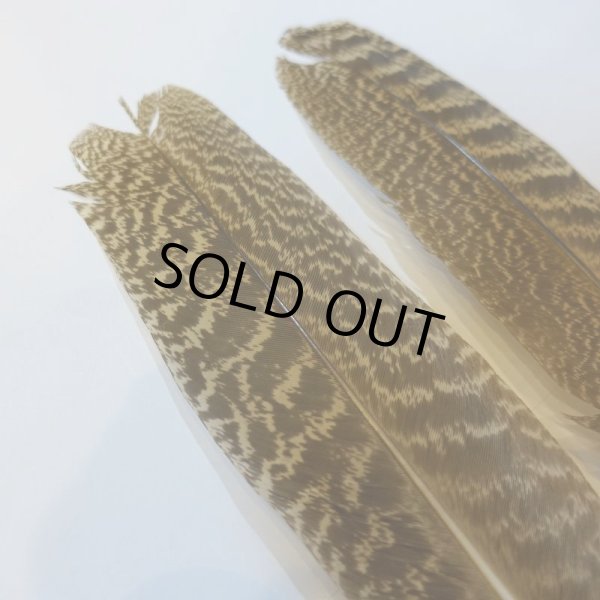 画像3: 【CANAL】 PEACOCK QUILL S (3)