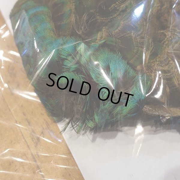 画像6: 【CANAL】 PEAHEN コンプリート  (6)