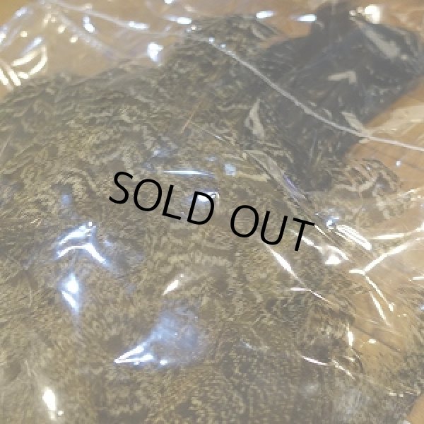 画像3: 【CANAL】 PEAHEN コンプリート  (3)