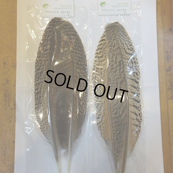 画像5: 【CANAL】 PEACOCK QUILL L (5)