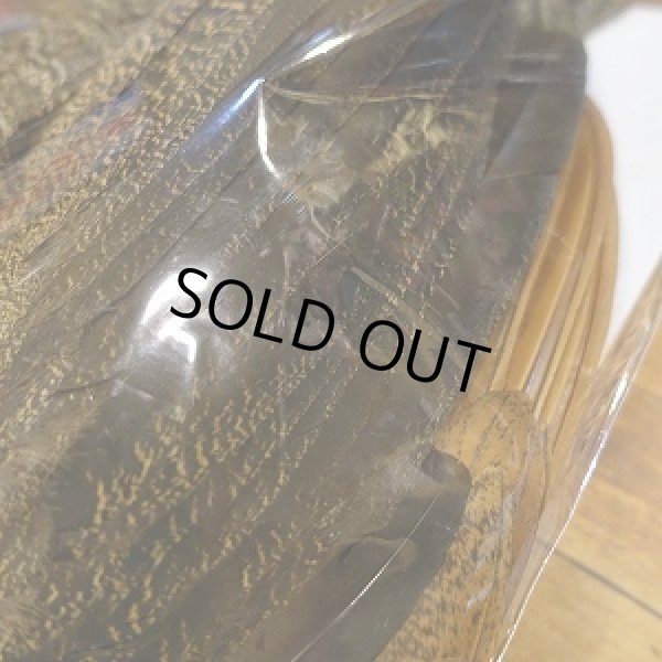 画像2: 【CANAL】 PEAHEN コンプリート  (2)