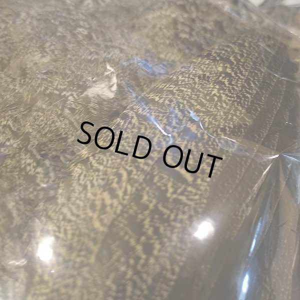 画像7: 【CANAL】 PEAHEN コンプリート  (7)