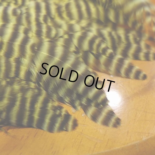 画像2: 【Ewing】 grizzly hen saddle patch (2)