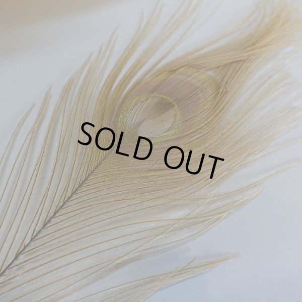 画像2: 【NatureSpirit】 Bleached and Dyed Peacock Sticks (2)