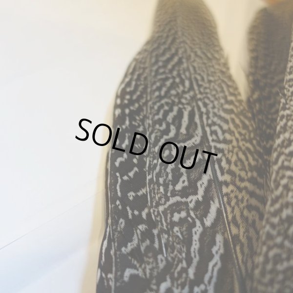 画像4: 【CANAL】 Speckled Pheasant コンプリートテール L (No.2) (4)