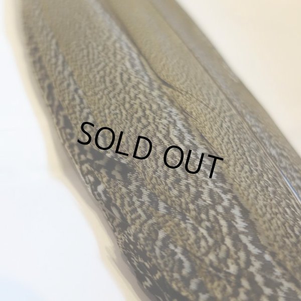 画像2: 【CANAL】 Speckled Pheasant コンプリートテール S (No.2) (2)