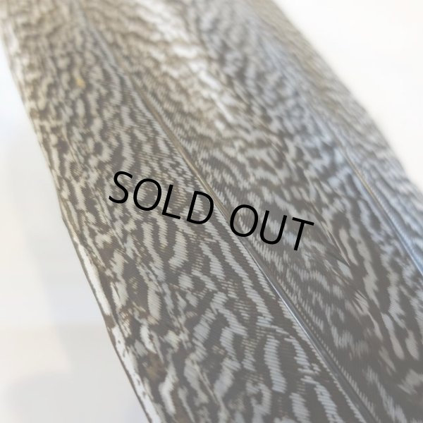 画像4: 【CANAL】 Speckled Pheasant コンプリートテール S (No.3) (4)