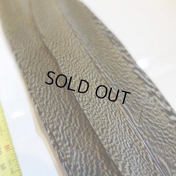 画像2: 【CANAL】 Speckled Pheasant コンプリートテール L (No.1) (2)