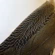 画像4: 【CANAL】 Speckled Pheasant コンプリートテール S (No.1) (4)