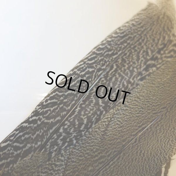 画像4: 【CANAL】 Speckled Pheasant コンプリートテール S (No.1) (4)