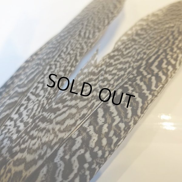 画像3: 【CANAL】 Speckled Pheasant コンプリートテール L (No.2) (3)