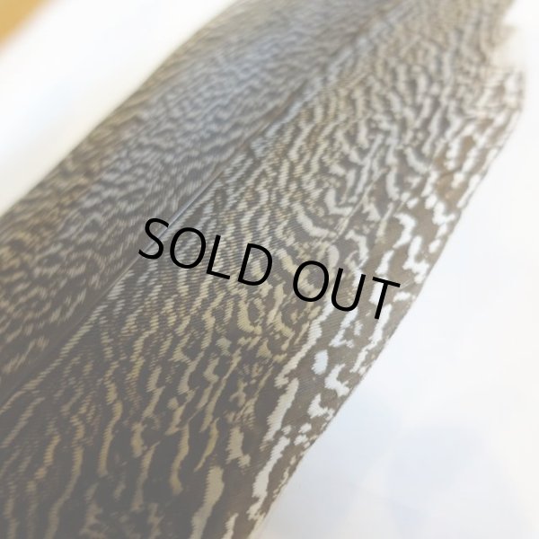 画像3: 【CANAL】 Speckled Pheasant コンプリートテール L (No.1) (3)