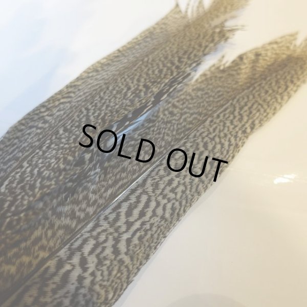 画像3: 【CANAL】 Speckled Pheasant コンプリートテール S (No.2) (3)